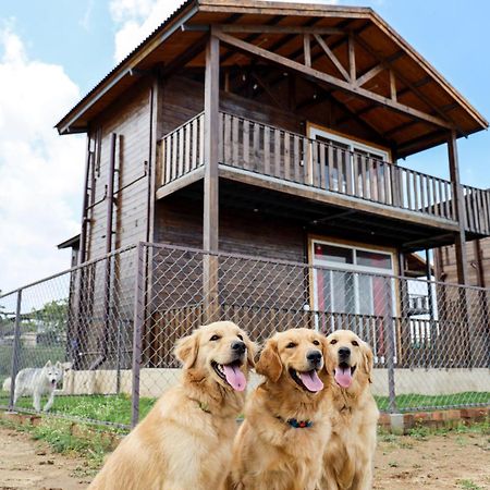 Therpup Resort Kammasandra Zewnętrze zdjęcie