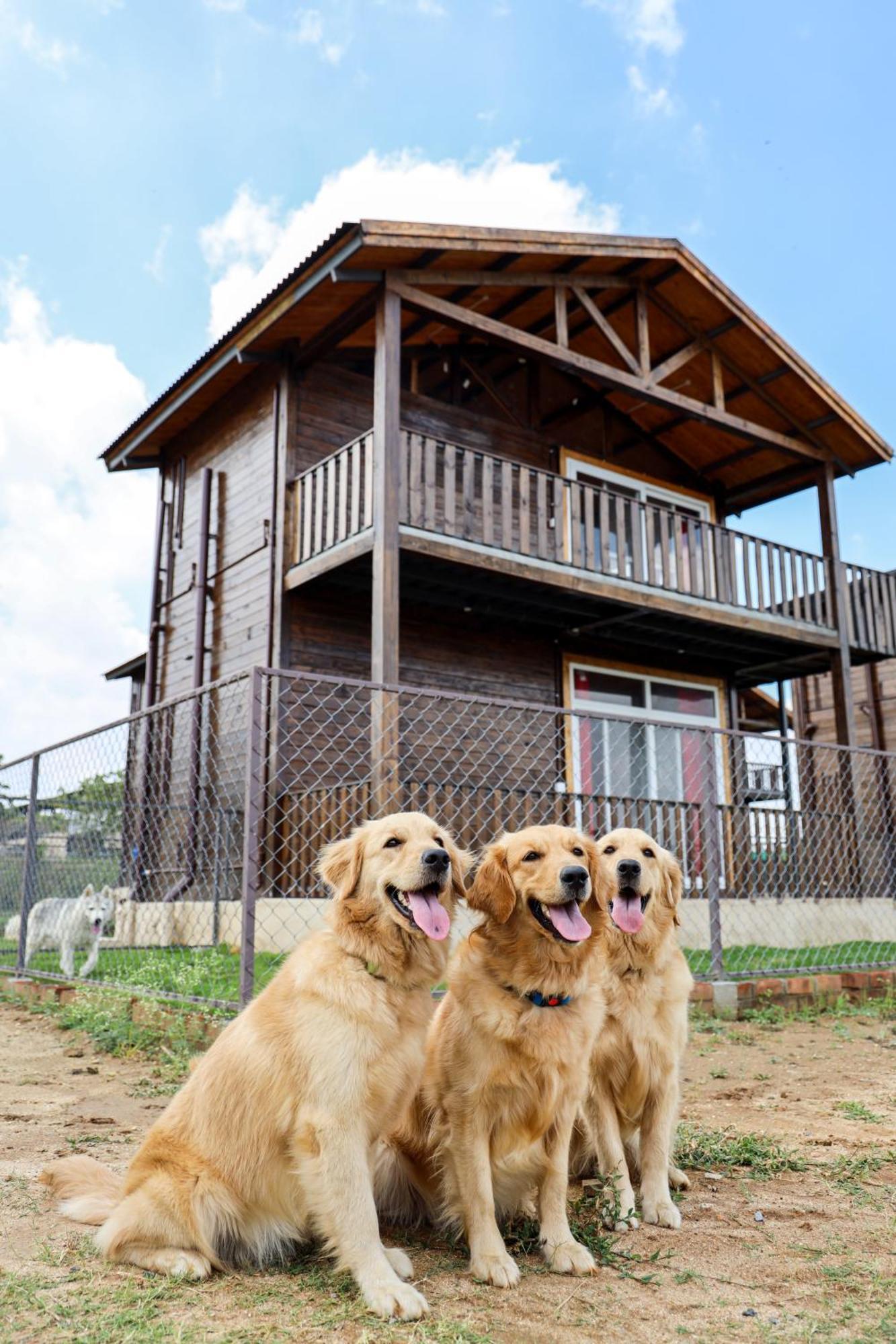 Therpup Resort Kammasandra Zewnętrze zdjęcie