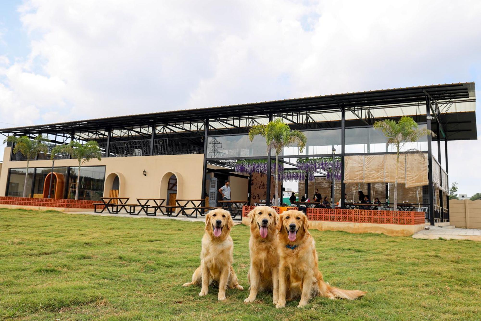 Therpup Resort Kammasandra Zewnętrze zdjęcie